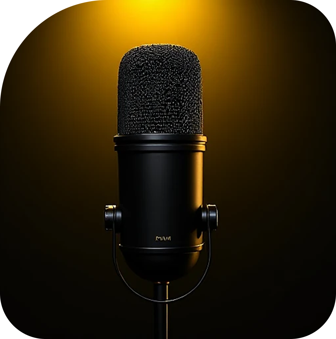 microphone